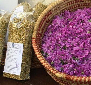 Tisane Bagno di Romagna