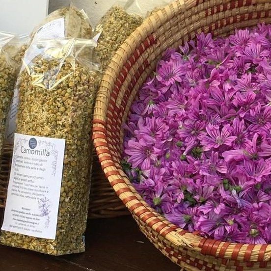 Tisane Bagno di Romagna